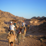 Choosing the Right Excursions in Egypt